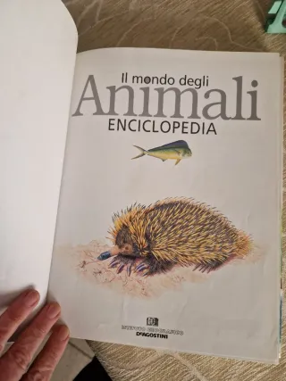 Il Mondo Degli Animali