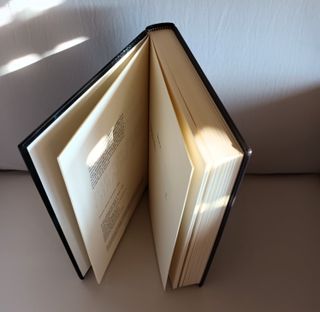 Los Escrúpulos del Sicario, Martín de la Vega