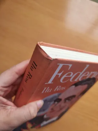 Vida de Federico García Lorca - Novela gráfica