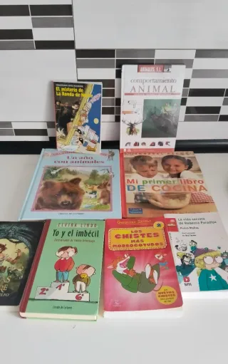 Lote 18 libros infantiles – Geronimo Stilton y más