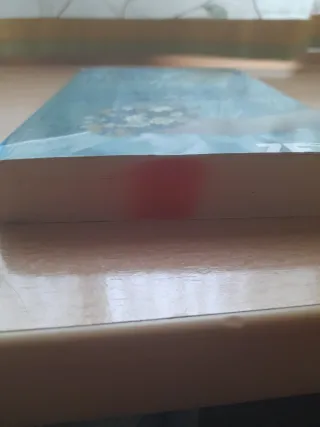 EL PRINCIPE DE MIS SUEÑOS