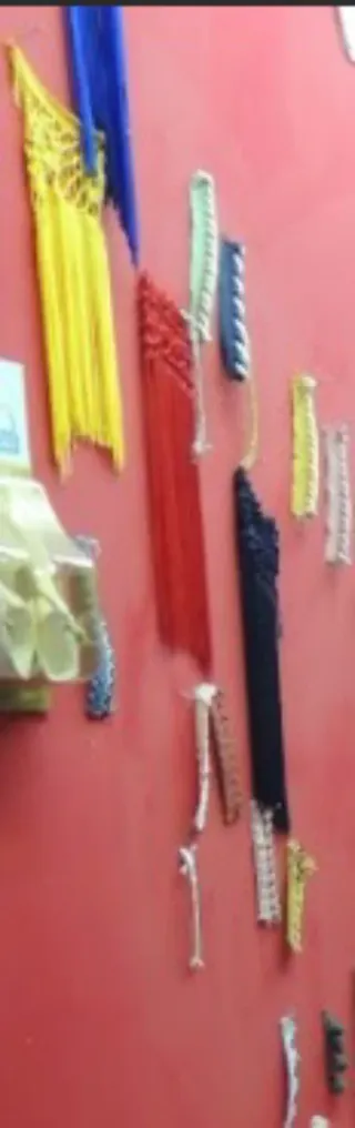 Adornos flamenca:flores,collares, pendientes Feria