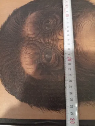 Botellero de cartón con diseño de chimpancé