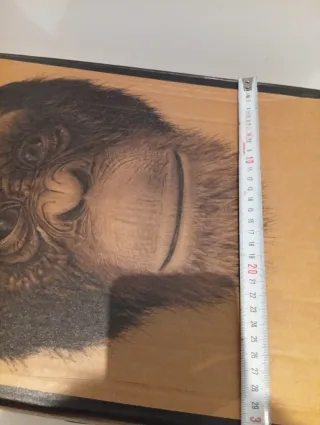 Botellero de cartón con diseño de chimpancé