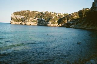 Canon Prima Auto Zoom Cámara Analógica