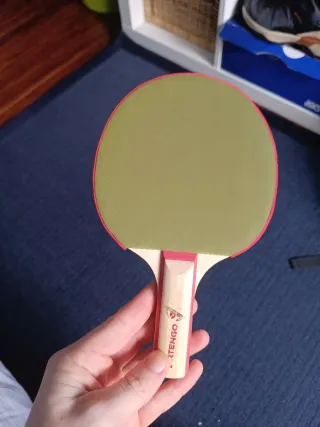 Set de Ping Pong Artengo