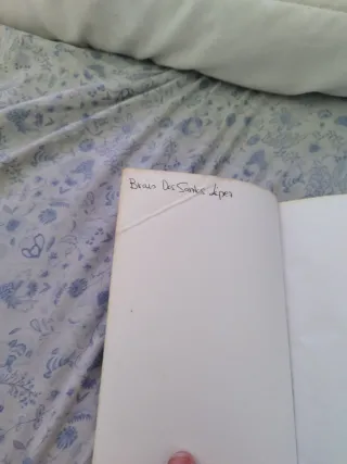 Cartas de inverno de Agustín Fernández