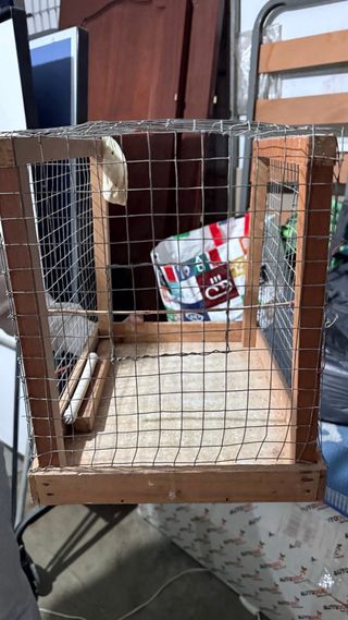 Jaula para pájaros de madera y metal