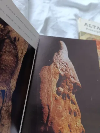4€=2 libros cuevas de Monte Castillo y Altamira
