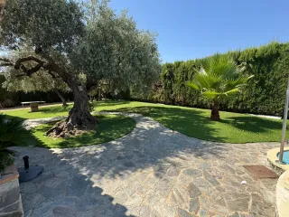 Césped artificial decorativo