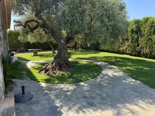 Césped artificial de alta calidad