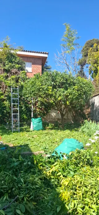 Limpieza de jardines, plantación  y cultivo de fru
