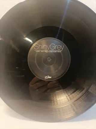 Shiny Grey - Why  (House, Pogressivo)