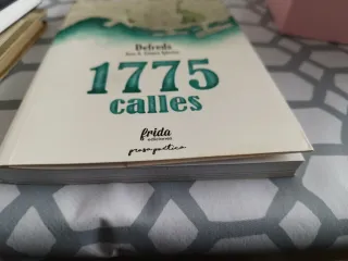 1775 calles (Colección Prosa Poética) (Spanish ...
