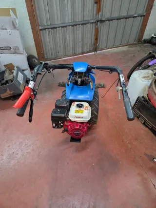 Cortacésped manual azul