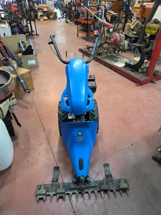 Cortacésped manual azul