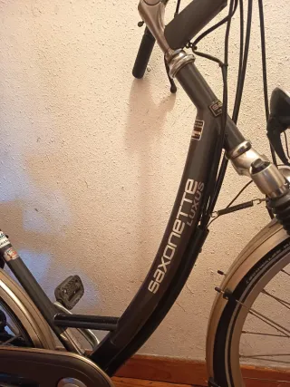 Bicicleta Urbana Luxus a motor de gasolina