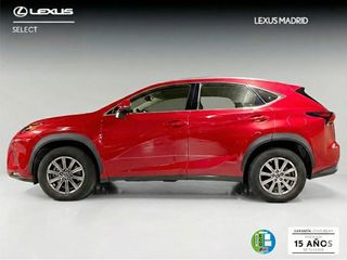 Lexus NX 2.5 300h Business Navigation 2WD