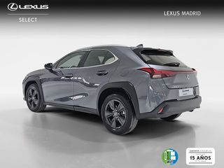 Lexus UX 2.0 300h UX