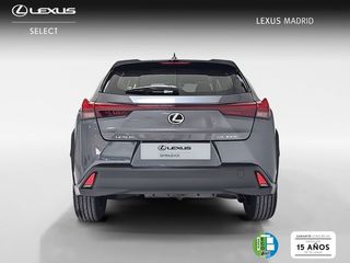Lexus UX 2.0 300h UX