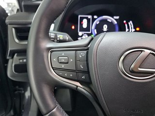Lexus UX 2.0 300h UX