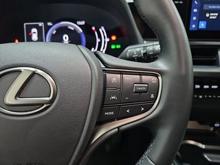 Lexus UX 2.0 300h UX