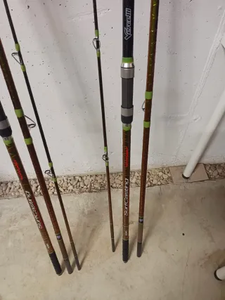 Cañas Vercelli Enygma Helio