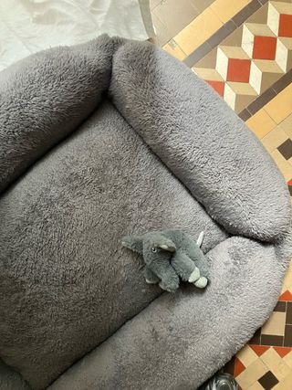 Cama Tiaki para perros