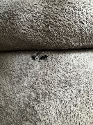 Cama Tiaki para perros