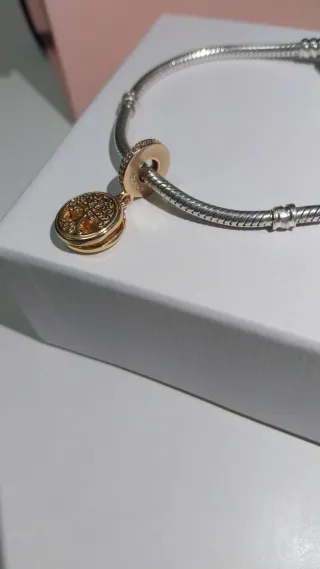 Charm Pandora