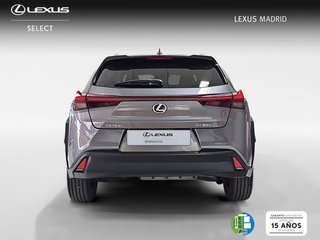 Lexus UX 2.0 250h Business