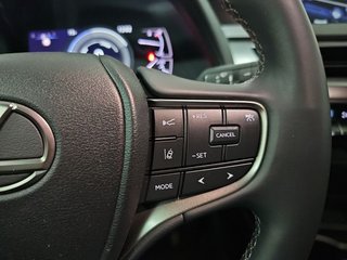 Lexus UX 2.0 250h Business