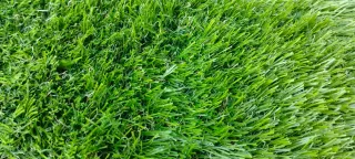 Tappeto erboso sintetico + kit montaggio