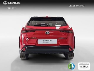 Lexus UX 2.0 250h Business