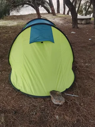 Tienda de campaña pop-up verde y azul