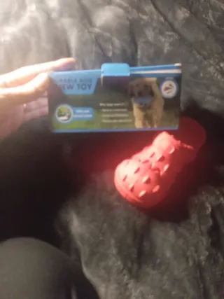 Juguete para perro en forma de zapato