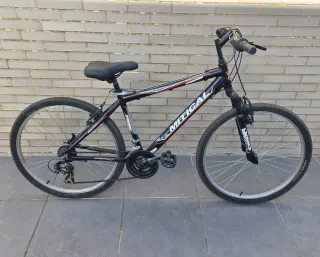 Bicicleta de Montaña Mitical.