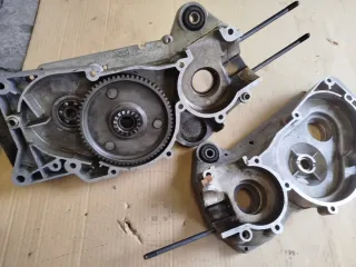 Cárteres Derbi Variant World Champion