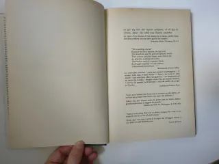 Estetica, etica e storia nelle arti della rappr...