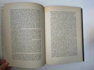 Estetica, etica e storia nelle arti della rappr...