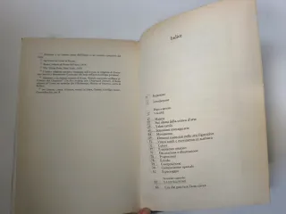 Estetica, etica e storia nelle arti della rappr...