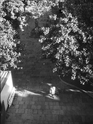 Olympus Pen EE-3 Cámara Analógica