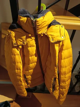 Cazadora Zara Mujer Amarilla/ mostaza