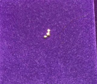 Aristocrazy Triple Estrella Piercing