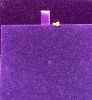 Aristocrazy Triple Estrella Piercing