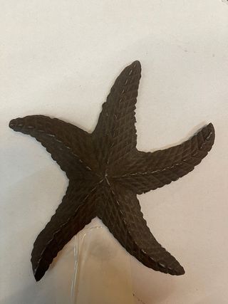 Estrella de mar decorativa