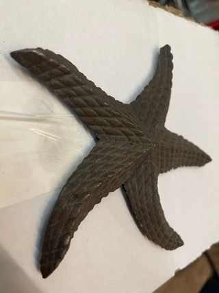 Estrella de mar decorativa