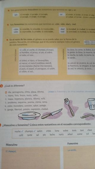 Gramática básica del estudiante de español. Edi...
