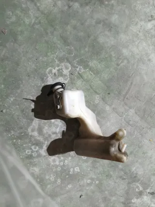 Depósito Refrigerante Honda CBR 600F PC19 PC23