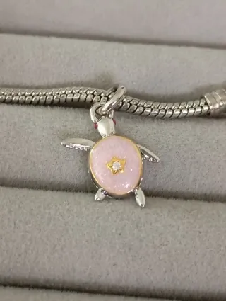 Charm tortuga Club 2026